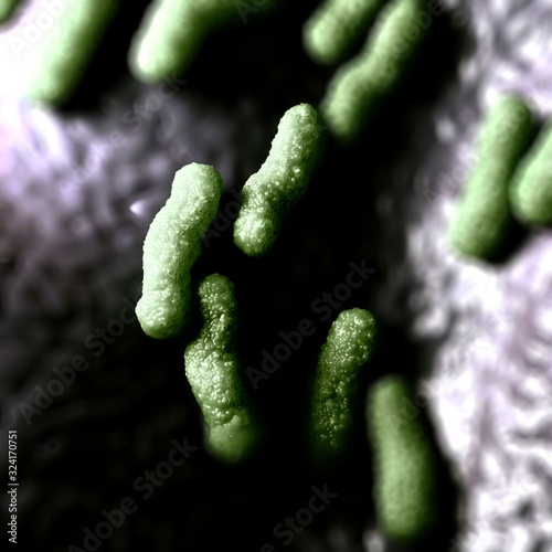 3d illustration - Escherichia Coli Bacteria photo