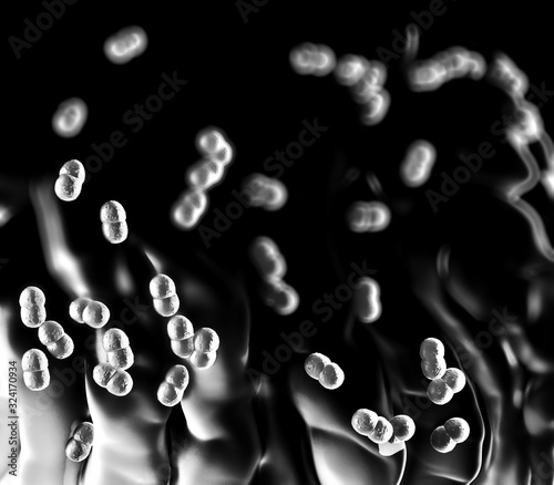 3d illustration - MRSA Bacteria or Super Bug Bacteria photo