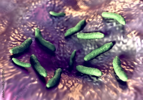 3d illustration - Rod Shaped Bacteria