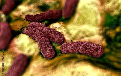 3d illustration - Yersinia Pestis Bacteria photo