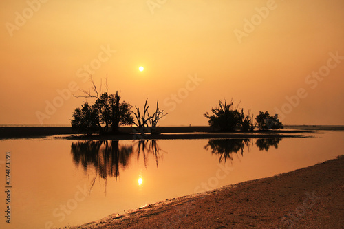 The sunset on the beach among the trees.