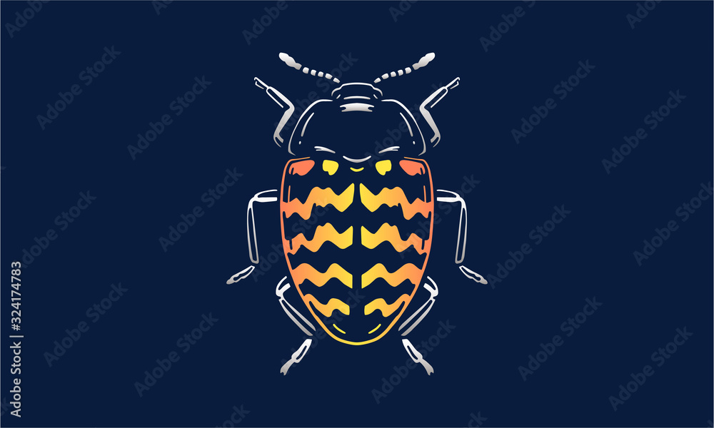 Fototapeta premium zigzag beetle on dark background