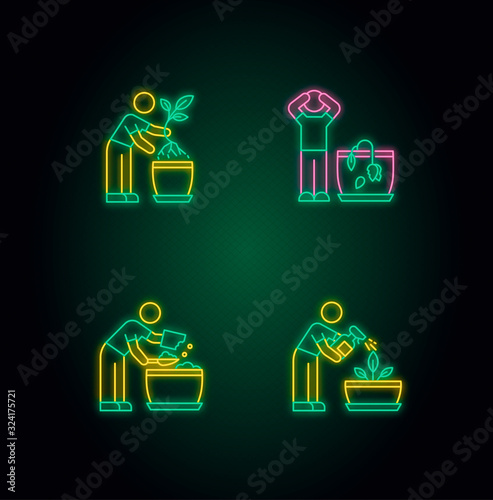 Indoor gardening stages neon light icons set. Replanting, repotting plants. Wilting flower. Preparing soil for planting. Signs with outer glowing effect. Vector isolated RGB color illustrations