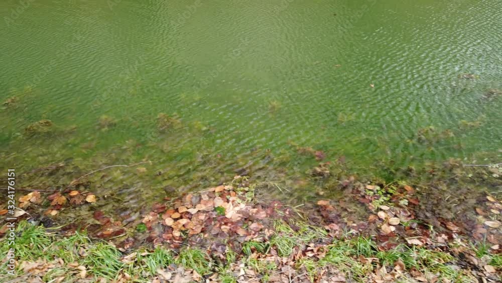 Lake in the spring. Shooting in the afternoon. Lake in the spring. Shooting in the afternoon.