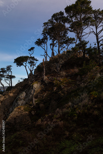 Point Lobos State Park in California's Big Sur Highway, United States. photo