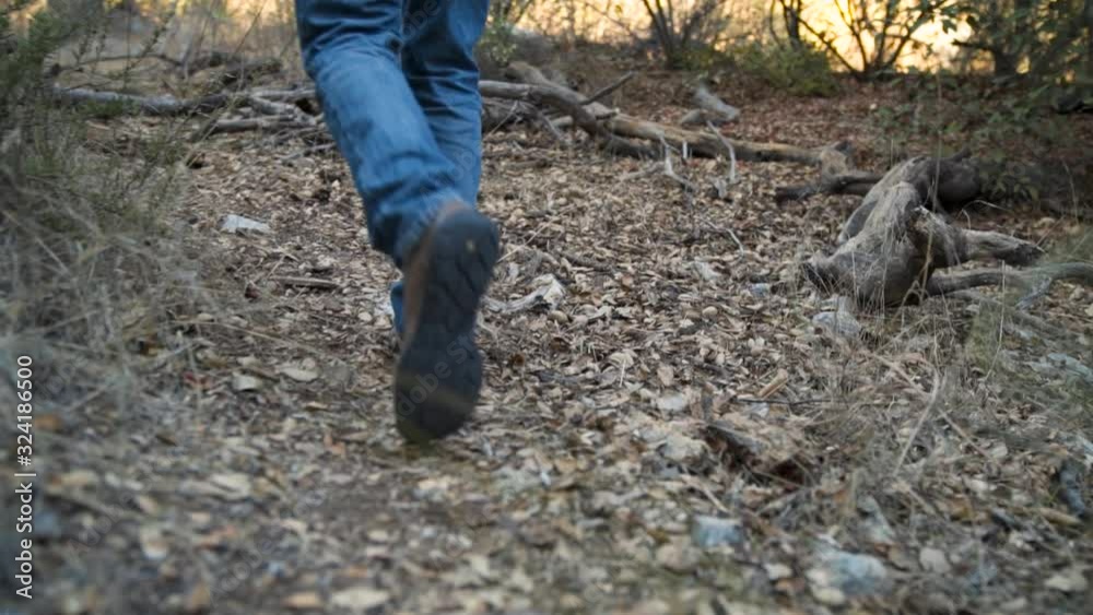 Man's shoes boots on a hike walking away from camera through tall grass in the woods. Man's shoes boots on a hike walking away from camera through tall grass in the woods.