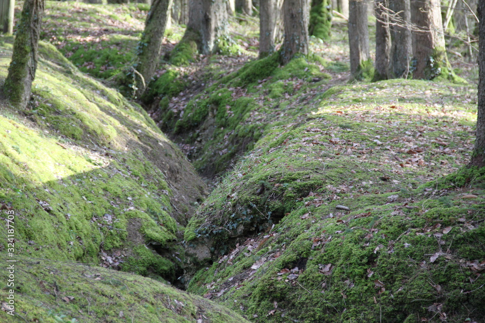 Fototapeta premium Thirsty trench warfare world war one 