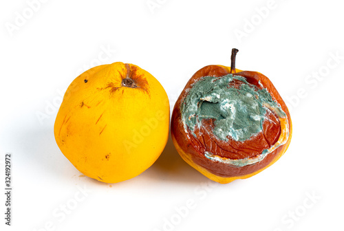 moldy fruit quince and fresh fruit quince on white background