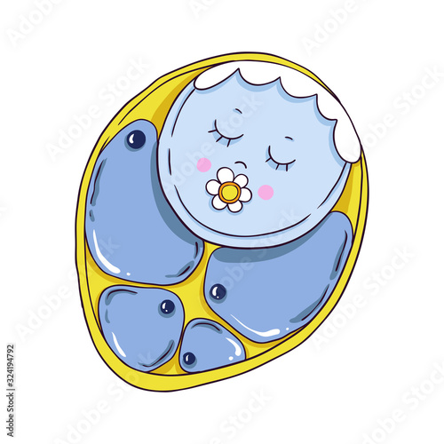 Cute cartoon zygote, isolated on white background. Vector illustration