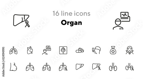 Organ line icon set. Set of line icons on white background. Healthcare concept. Stomach, gemma, liver. Vector illustration can be used for topics like medicine, health, treatment