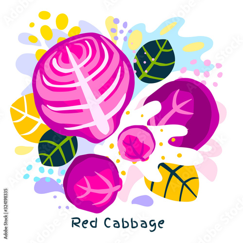 Fresh red cabbage vegetable juice splash organic food vegetables condiment spice splatter on abstract coloful splatter splash background vector hand drawn illustrations
