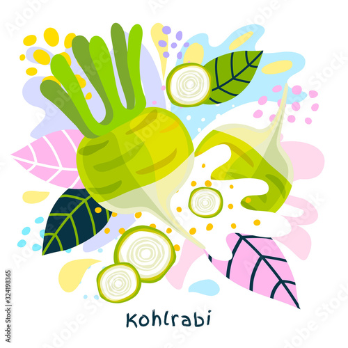 Fresh Kohlrabi vegetable juice splash organic food vegetables condiment spice splatter on abstract coloful splatter splash background vector hand drawn illustrations