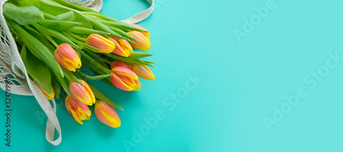 Wallpaper Mural Fresh yellow-red tulips on a mint background. Holiday concept Torontodigital.ca