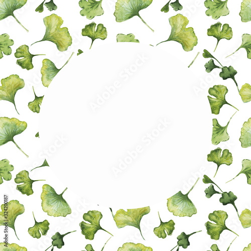  ginko biloba pattern watercolor frame background border hand-drawn on a white background elements separately green leaves flora plants healing herbs spring
