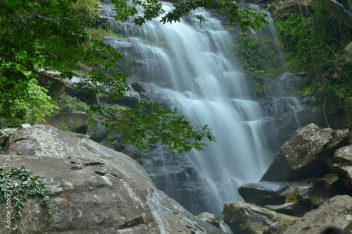 Fototapeta Naklejka Na Ścianę i Meble -  Forest Stream and Waterfall  in national park Kradueng,Thailand 