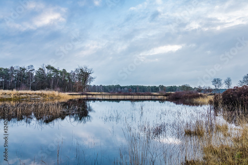 A pond with a bridge on a beautiful winter day at the Veluwe nature park in the Netherlands