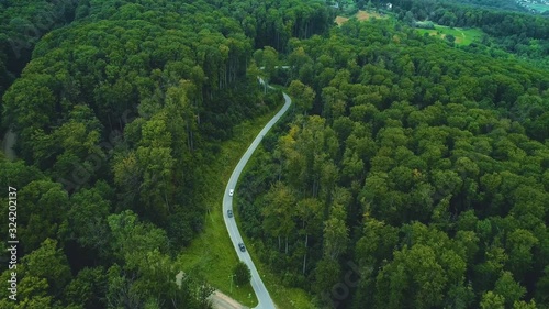 Path through dense greenery ladnscape on sunny spring day.