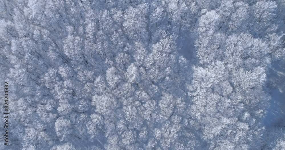 Aerial view in a mountain forest. Winter landscape. Fly over frozen snowy fir and pine trees. Nature concept. Aerial view in a mountain forest. Winter landscape. Fly over frozen snowy fir and pine trees. Nature concept.