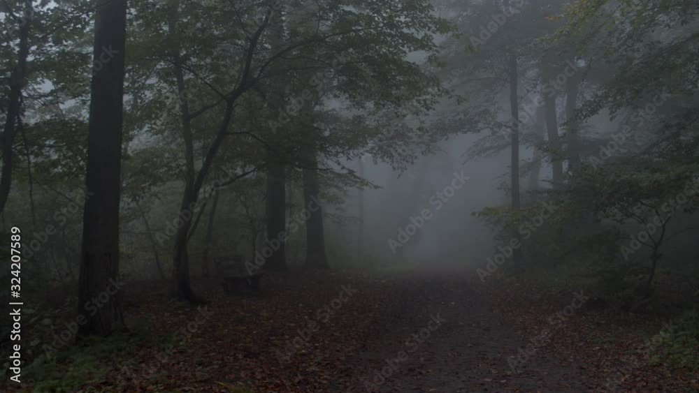 Waldweg FOV im Nebel mit Bank