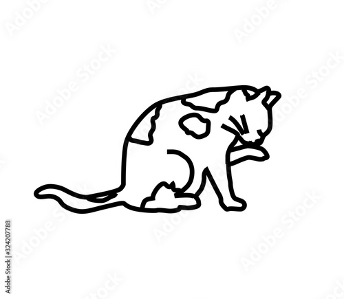 Cat on a white background. Silhouette. Vector illustration.