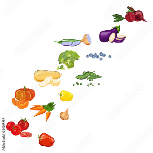 Wallpaper Mural  Fresh vegetables, vegetarianism. Vector illustration. Torontodigital.ca