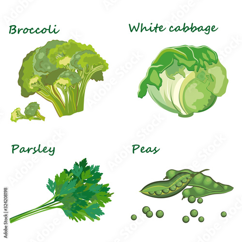 Wallpaper Mural  Fresh vegetables, vegetarianism. Vector illustration. Torontodigital.ca