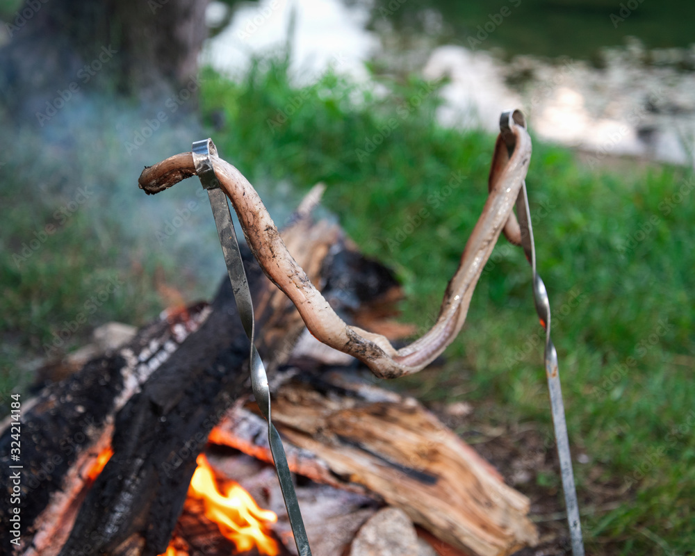 Obraz premium skinless snake carcass baked on a bonfire put on skewers