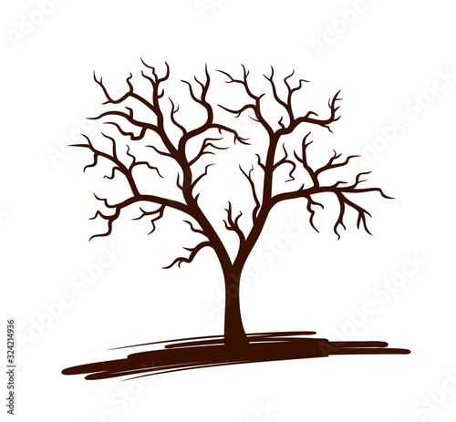 A symbol of a big tree.