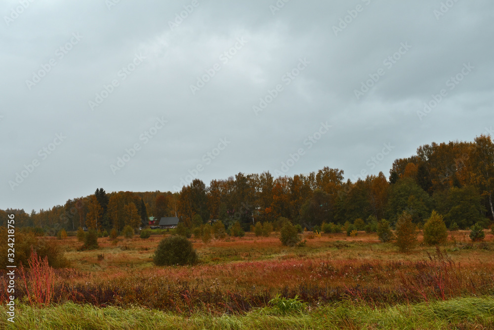 autumn landscape with trees and blue sky autumn landscape with trees and blue sky