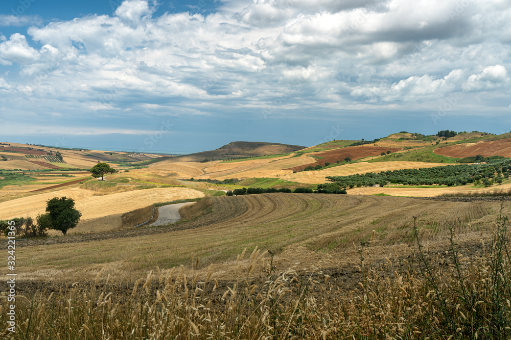 Rural landscape near Serracapriola, Apulia, Italy