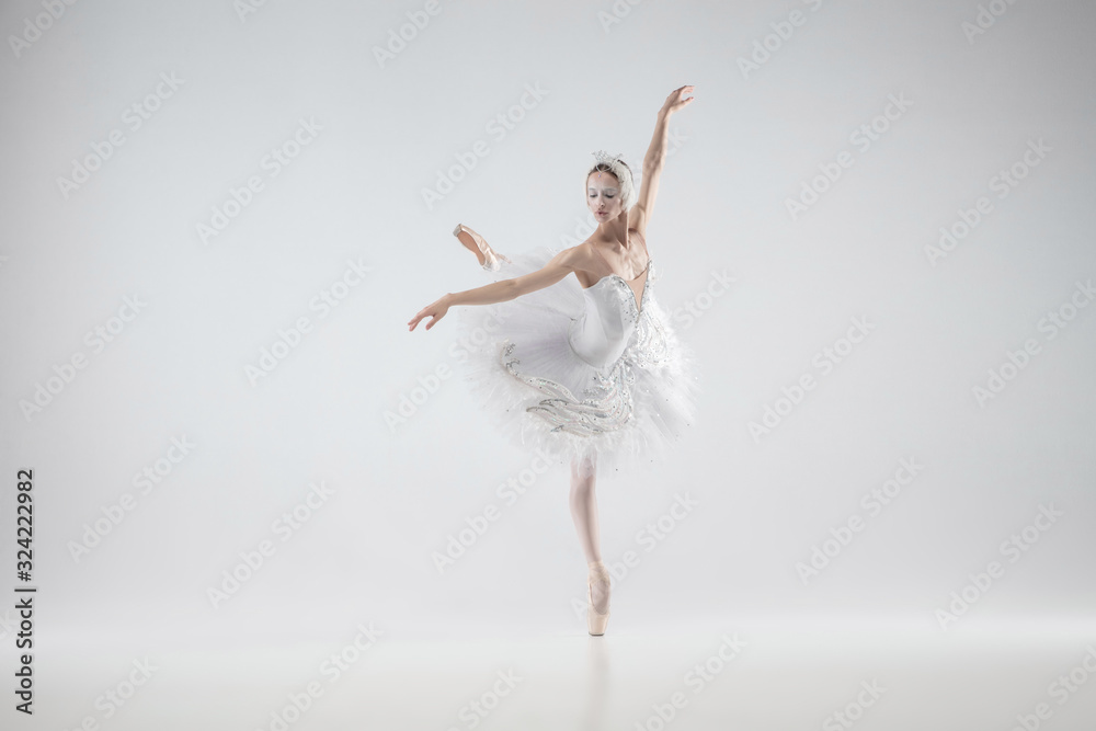 Winter alive. Young graceful classic ballerina dancing on white studio background. Woman in tender clothes like a white swan. The grace, artist, movement, action and motion concept. Looks weightless.