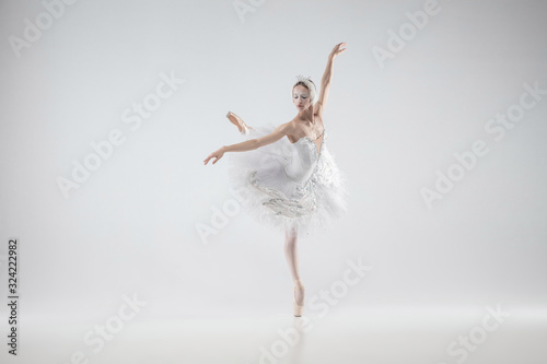 Winter alive. Young graceful classic ballerina dancing on white studio background. Woman in tender clothes like a white swan. The grace, artist, movement, action and motion concept. Looks weightless.