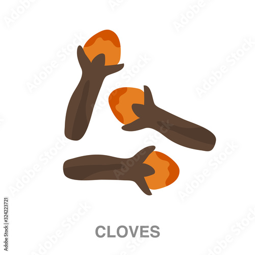 cloves flat icon on white transparent background. You can be used black ant icon for several purposes.	