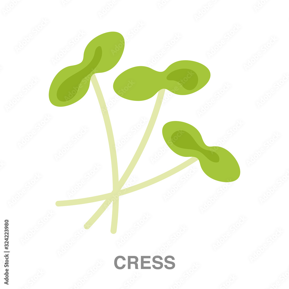 cress flat icon on white transparent background. You can be used black ant icon for several purposes. cress flat icon on white transparent background. You can be used black ant icon for several purposes.