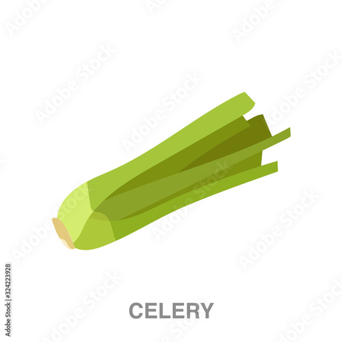 celery flat icon on white transparent background. You can be used black ant icon for several purposes.	