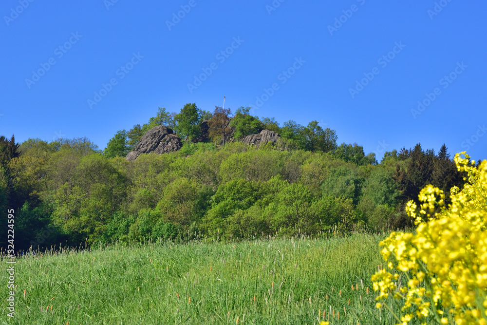 Oberoderwitzer Spitzberg im Frühjahr	