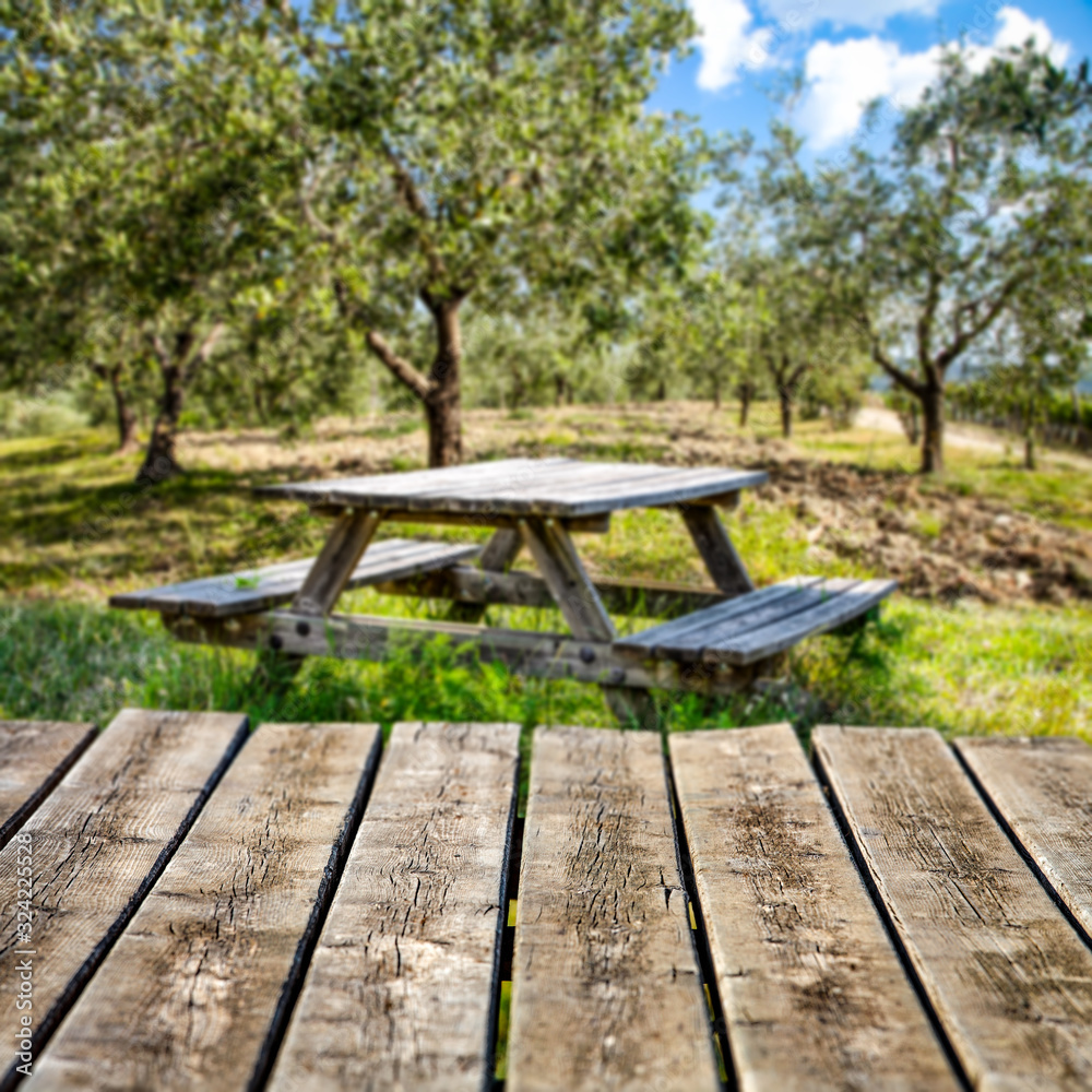 Wooden worn old table of free space for your decoration and spring green garden background. 