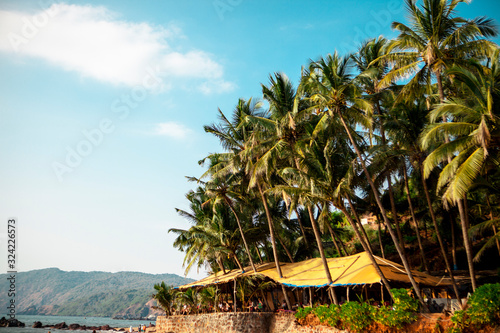 Cola beach Goa. South Goa India, Sunny tropical beach. © Maria Cherevan