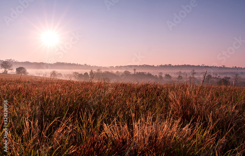 sunlight and fog in Phu Khieo Wildlife Sanctuary
