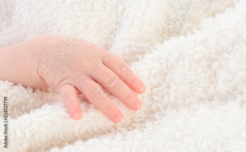 Mano de bebé recién nacido sobre manta blanca © NATI