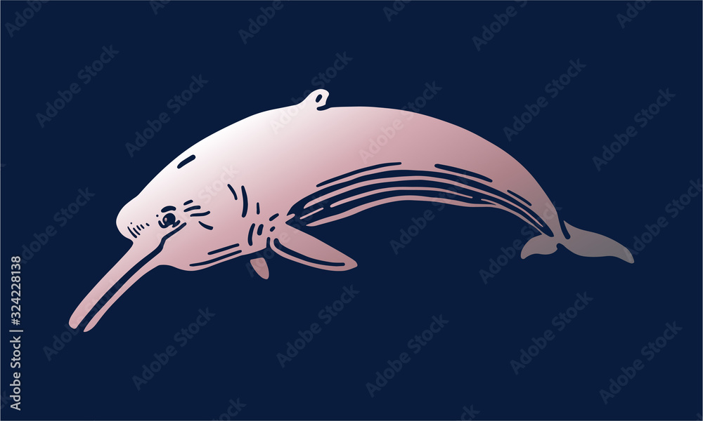 Amazon river dolphin on dark background Stock Vector Adobe Stock