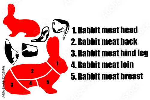 A set of four pieces of rabbit meat, the silhouette of a rabbit and the method of cutting the carcass. Part of the meat.