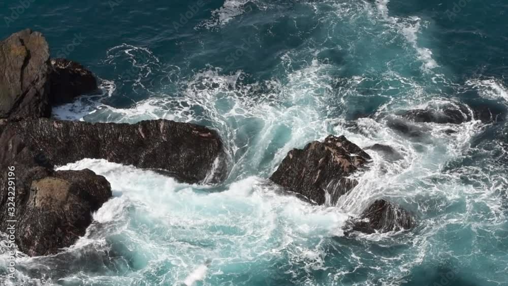 Northern gannets (Morus bassanus) soaring over waves crashing on rocks of sea cliff in spring, Shetland Islands, Scotland, UK