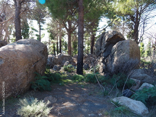 gran canaria, zentralgebirge