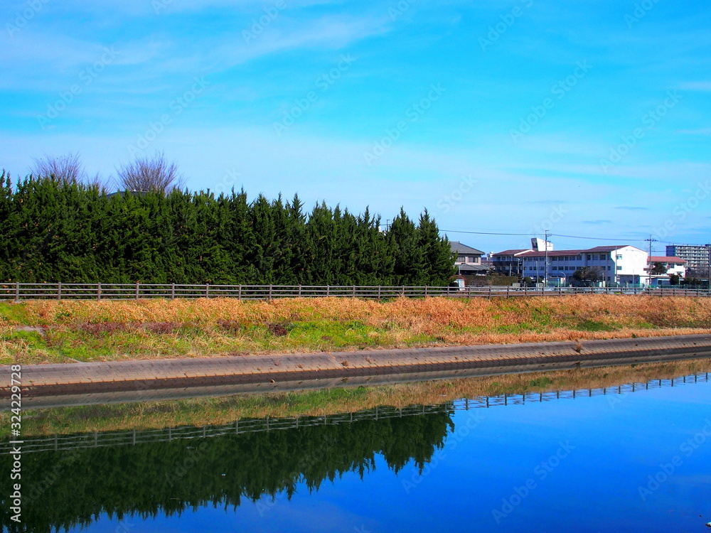 早春の放水路風景