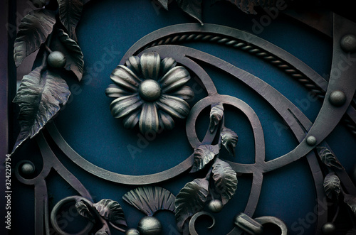 Beautiful metal gate with wrought iron elements