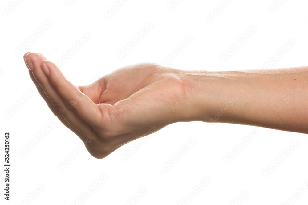 Open girl's hand  isolated on white background. gesture