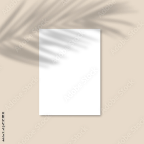 Shadow Overlay Palm Leaf Vector Mockup A4 Paper sheets. Vector Transparent shadow of tropical leaves