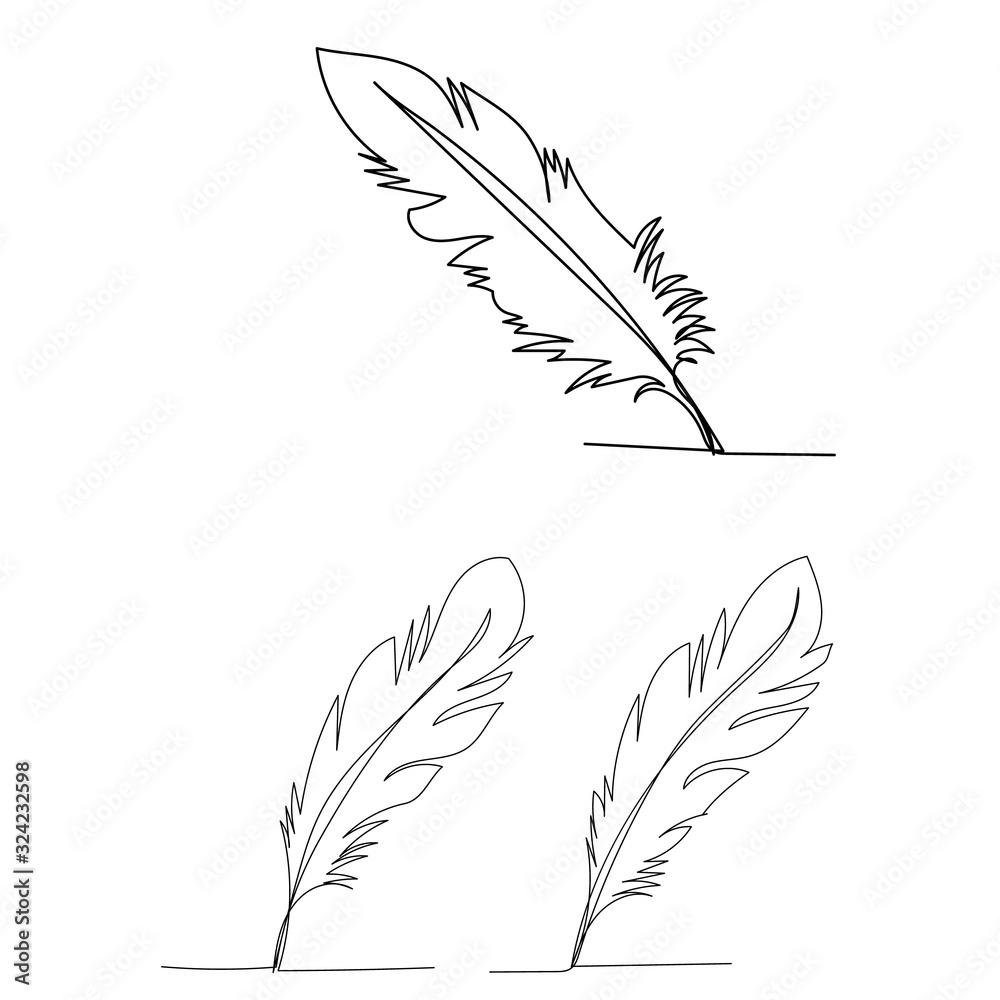  isolated, single line drawing of bird feather