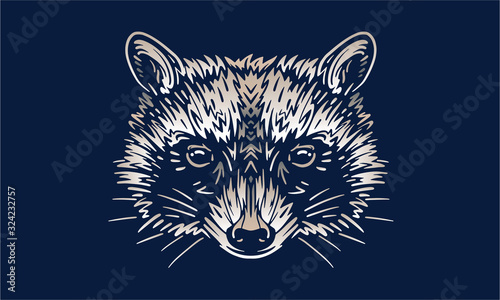 raccoon on dark background